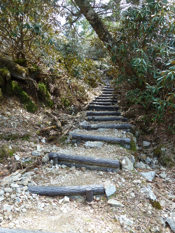 P1110110_mid.jpg