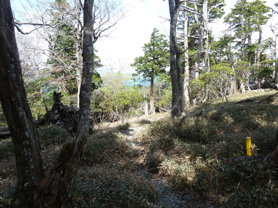 P1110118_mid.jpg