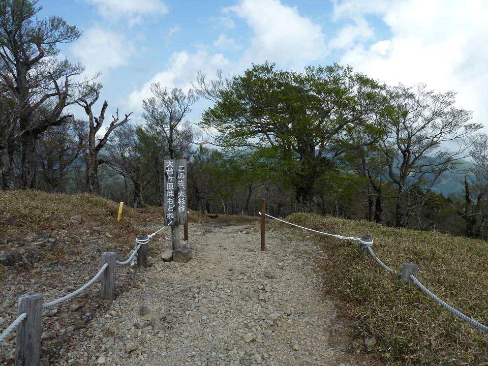 P1110126_mid.jpg