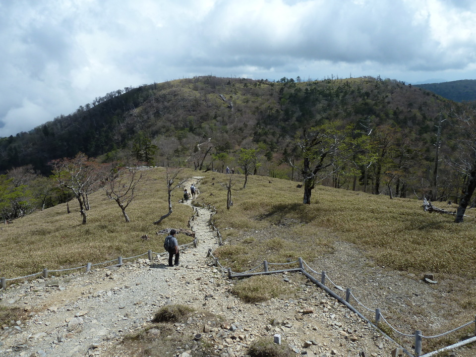 P1110127_mid.jpg