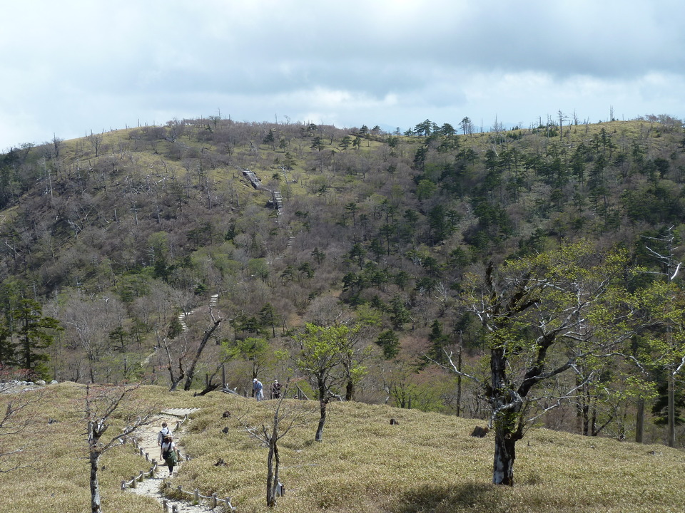 P1110128_mid.jpg