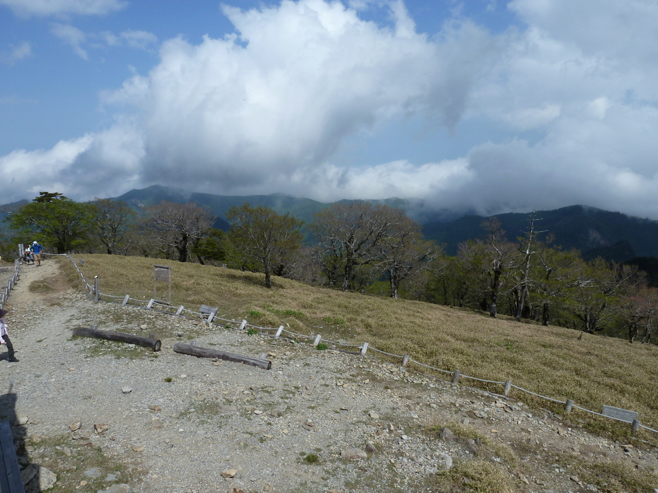 P1110129_mid.jpg