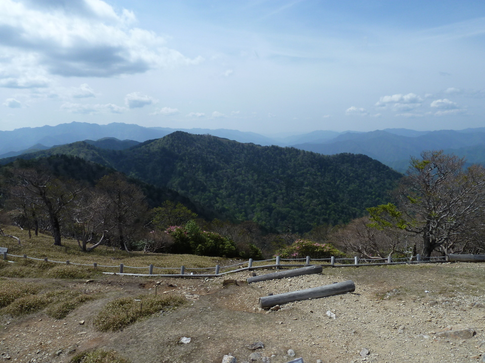 P1110131_mid.jpg