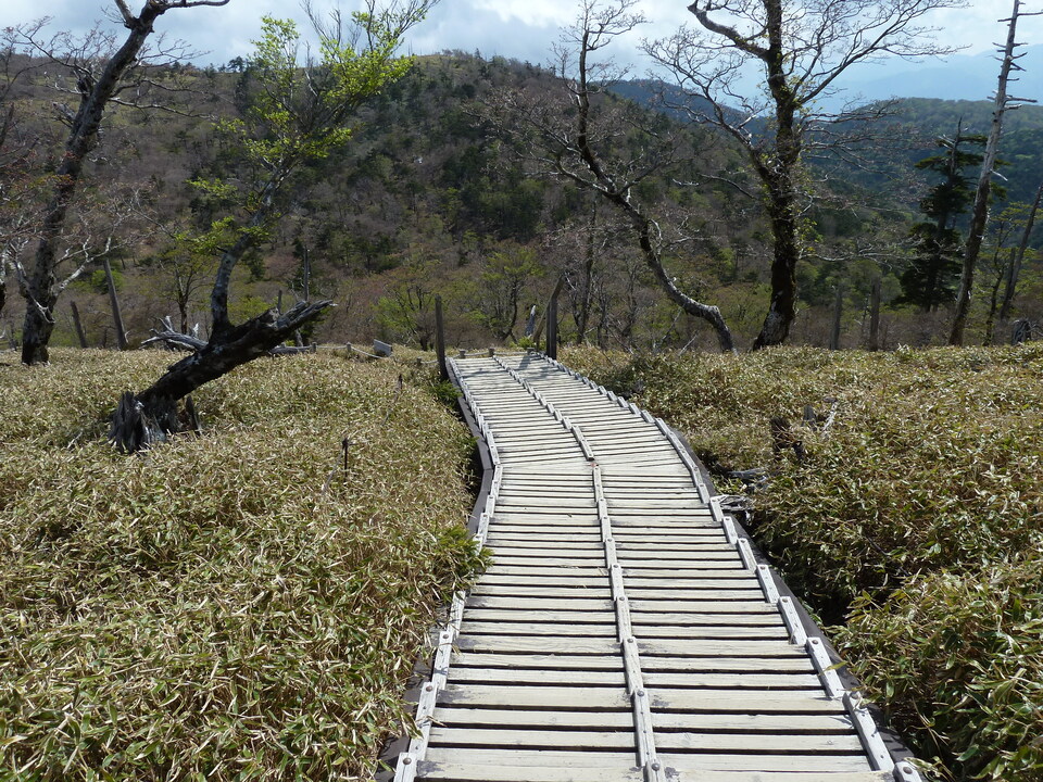 P1110132_mid.jpg