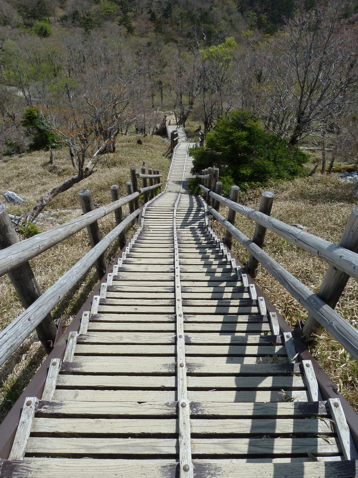 P1110133_mid.jpg