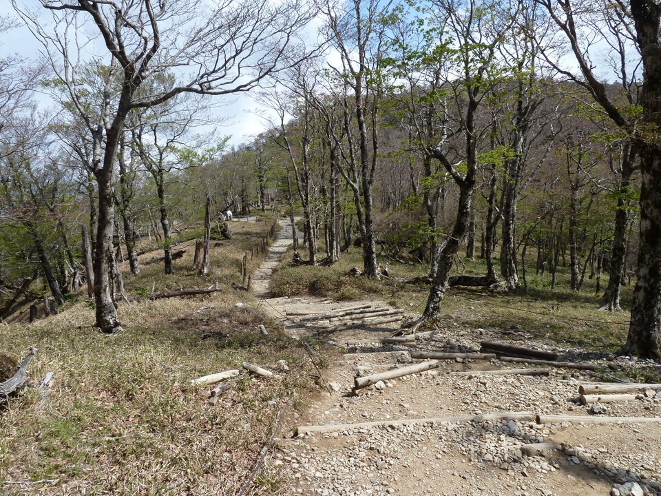P1110134_mid.jpg