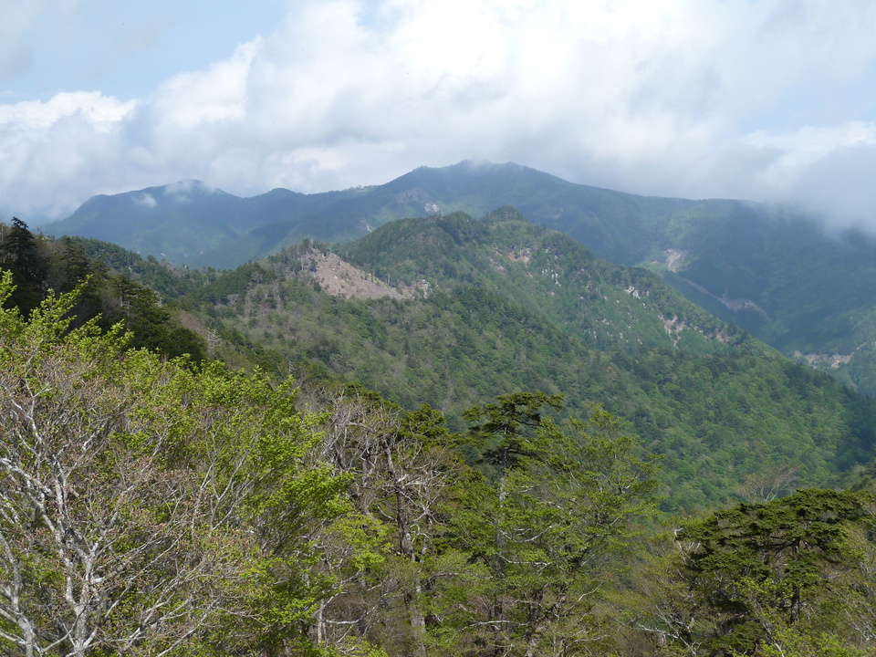 P1110136_mid.jpg
