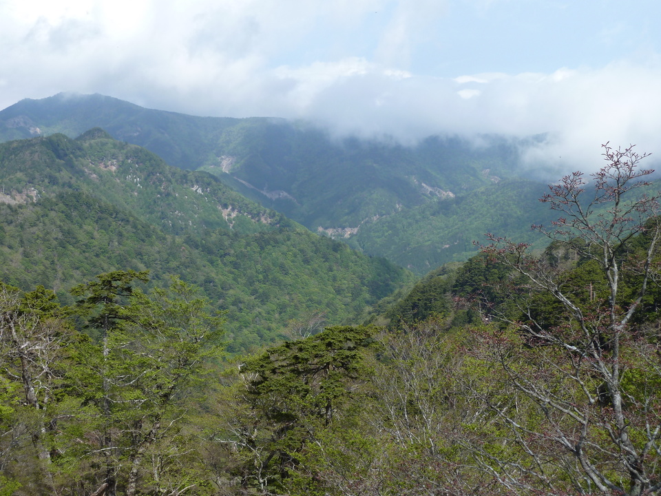 P1110137_mid.jpg