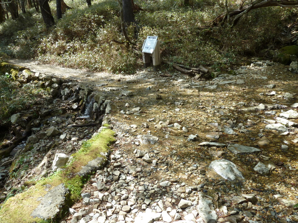 P1110139_mid.jpg