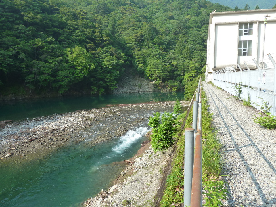 P1110149_mid.jpg