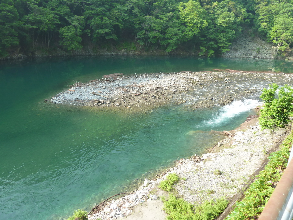 P1110150_mid.jpg