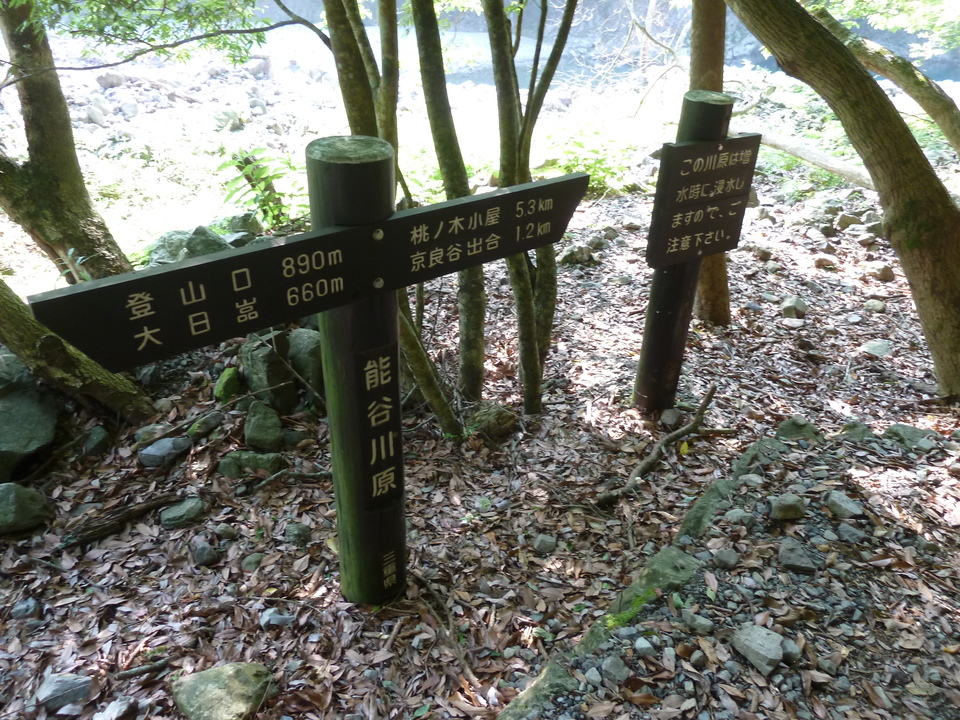 P1110160_mid.jpg