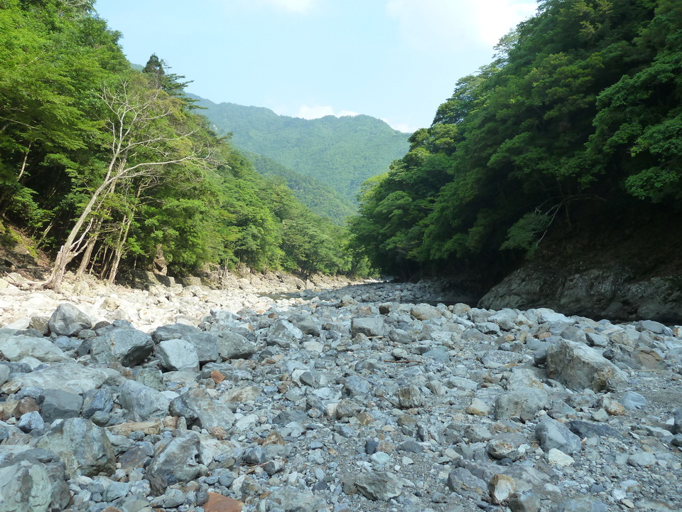 P1110175_mid.jpg