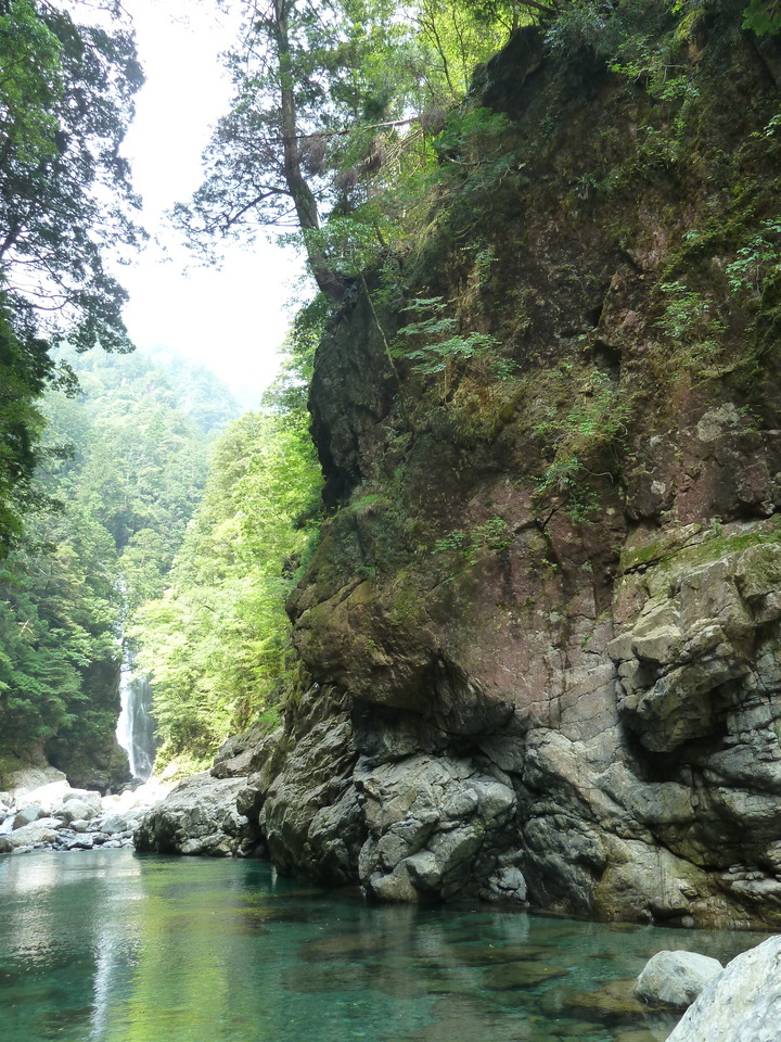 P1110207_mid.jpg