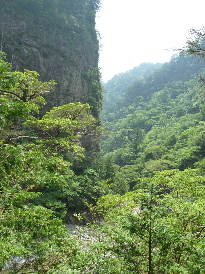 P1110236_mid.jpg