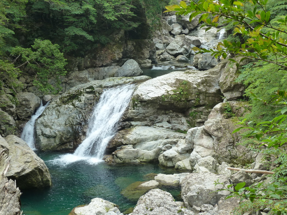 P1110245_mid.jpg