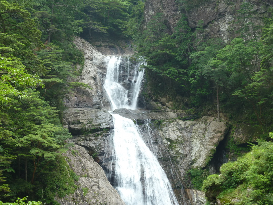 P1110253_mid.jpg