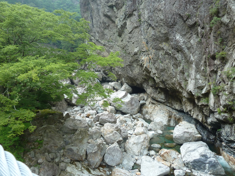 P1110284_mid.jpg
