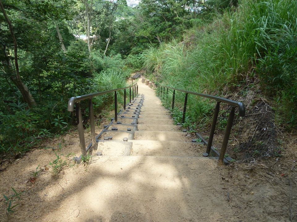P1120442_mid.jpg