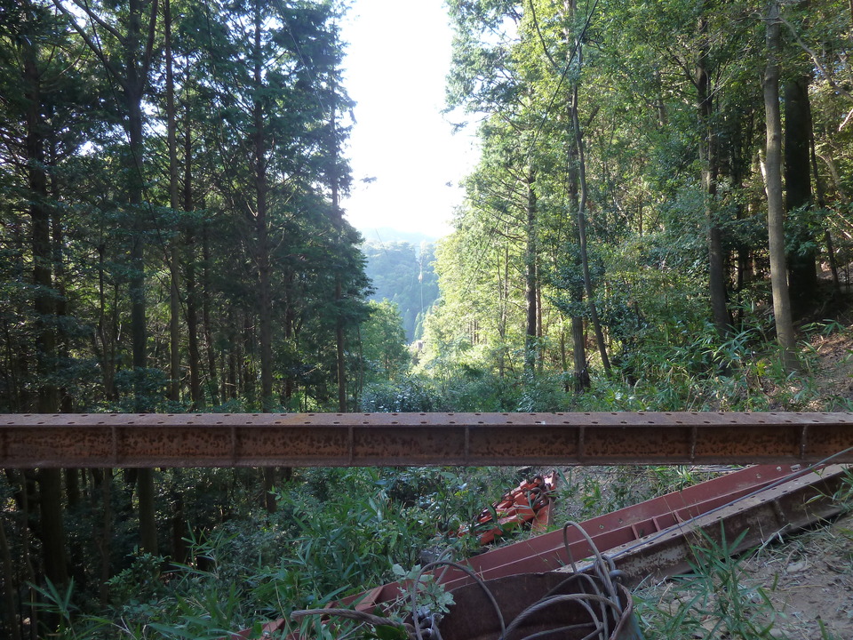 P1120521_mid.jpg