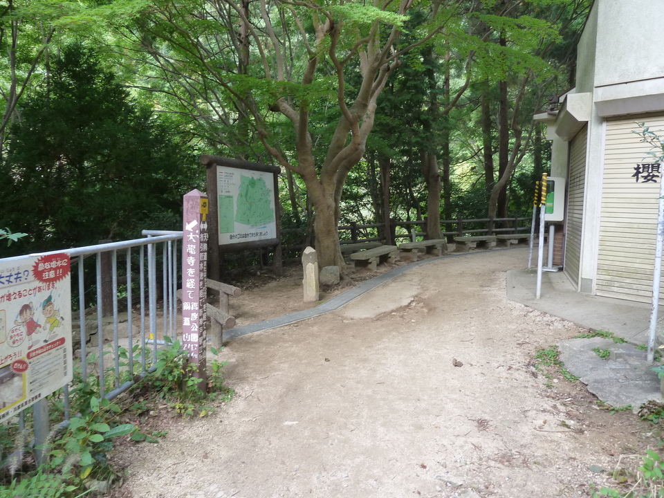 P1120697_mid.jpg