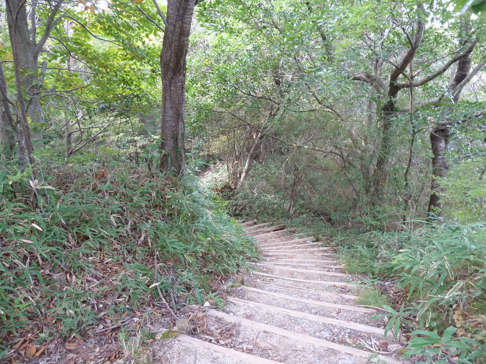 P1120711_mid.jpg