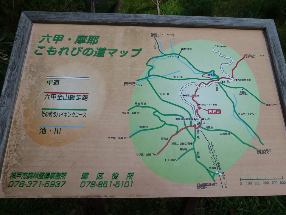 P1120729_mid.jpg