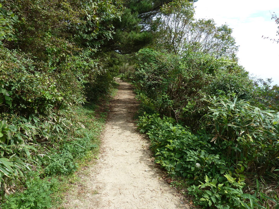 P1120819_mid.jpg