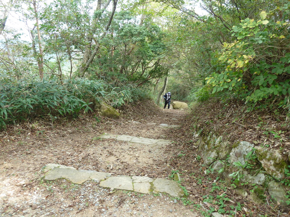 P1120853_mid.jpg