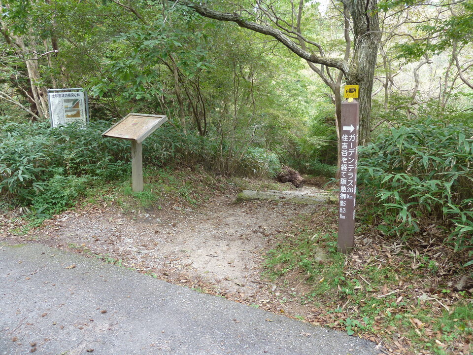 P1120881_mid.jpg