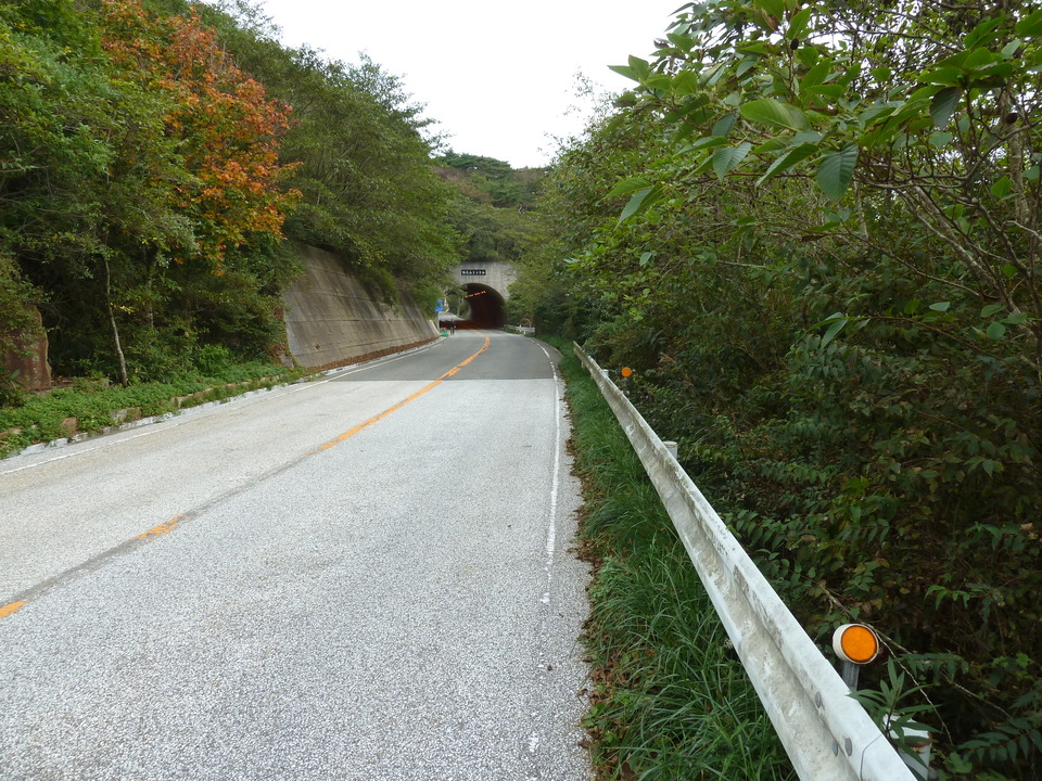 P1120930_mid.jpg