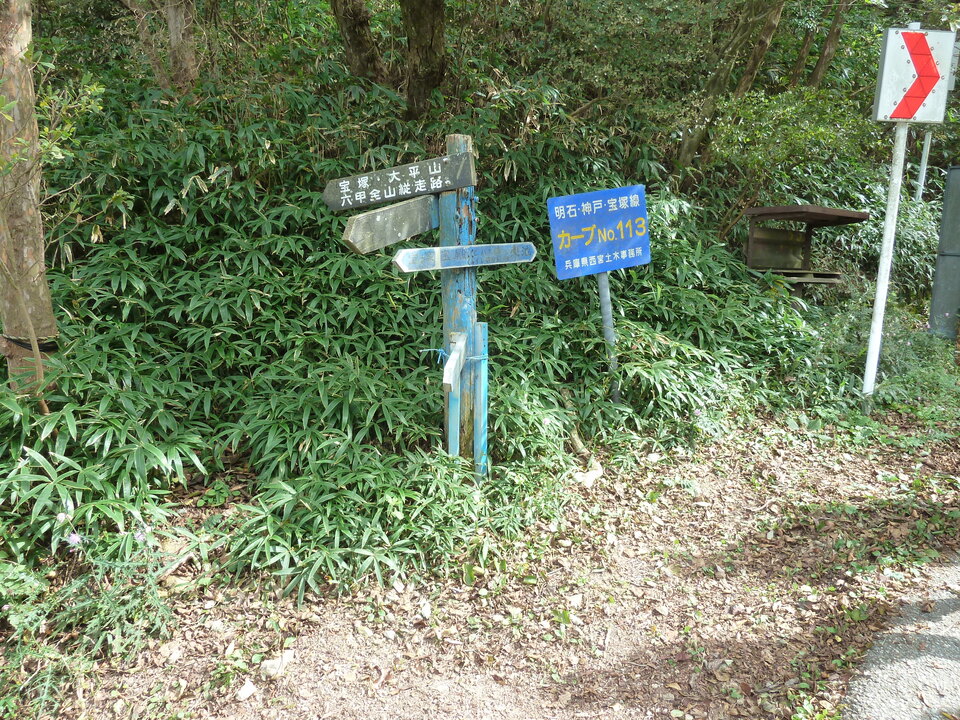 P1120938_mid.jpg