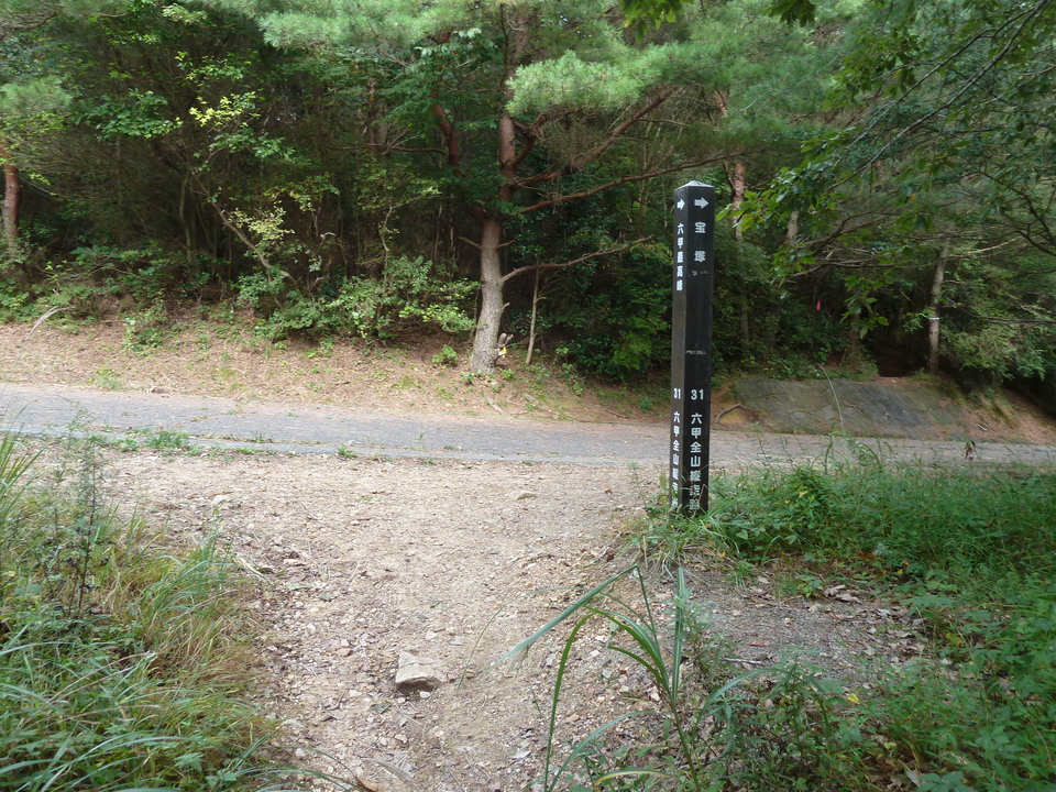 P1130018_mid.jpg