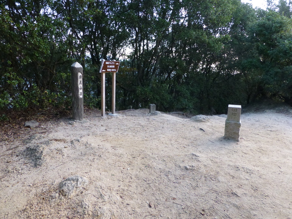 P1030217_mid.jpg