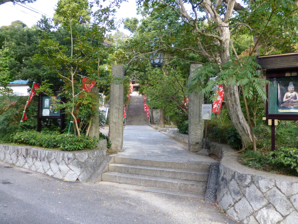 P1030222_mid.jpg