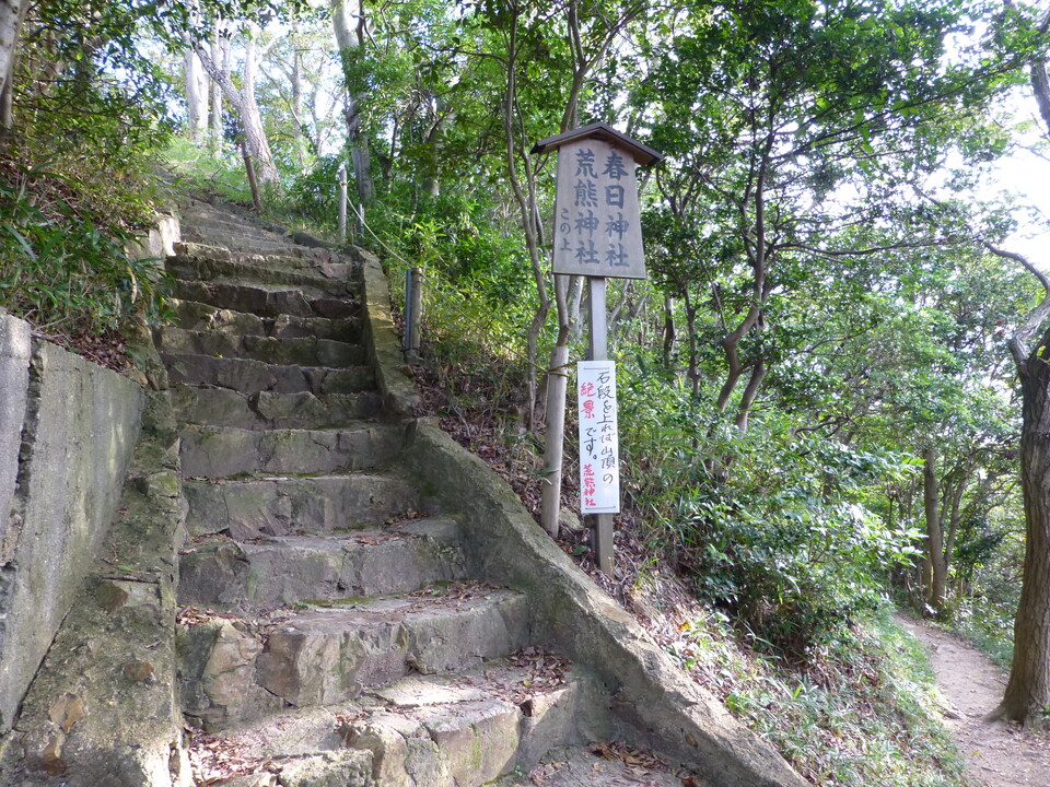 P1030226_mid.jpg