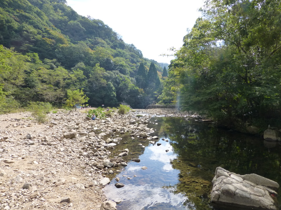 P1030240_mid.jpg