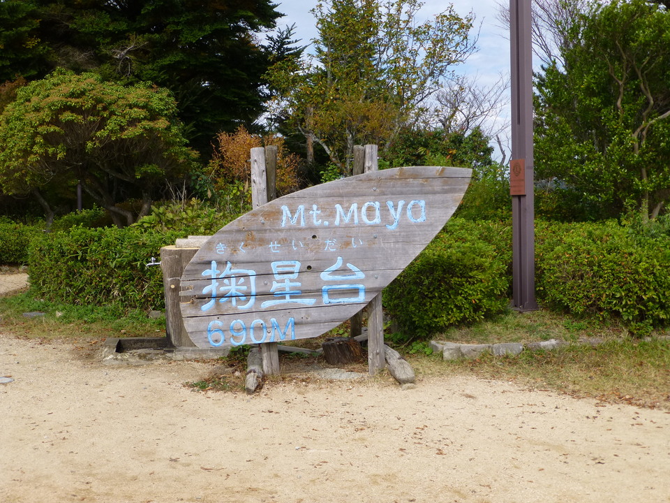 P1030246_mid.jpg