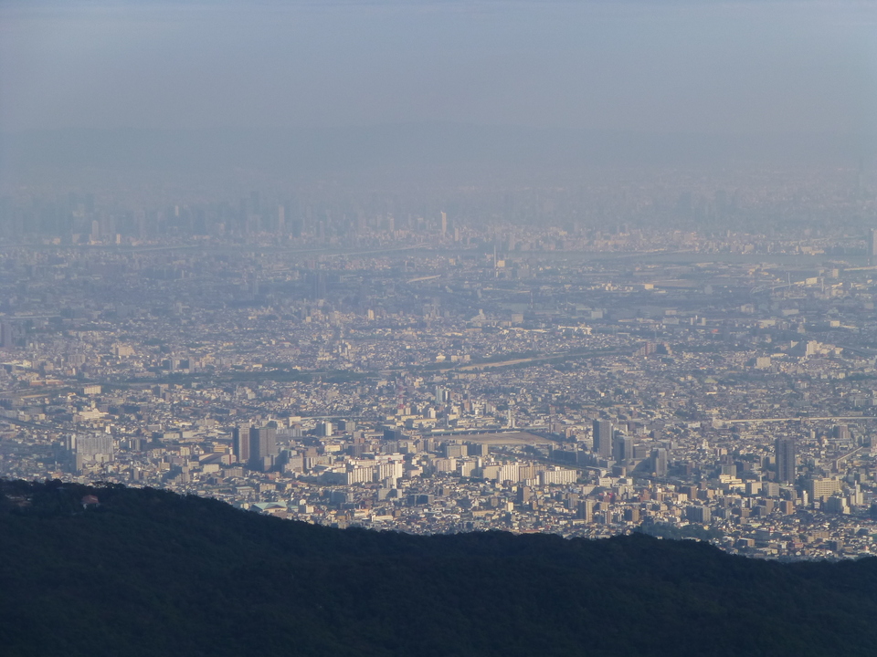 P1030258_mid.jpg