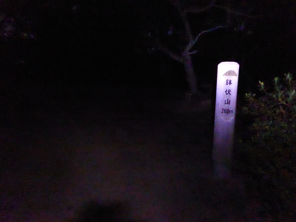 P1000050_mid.jpg