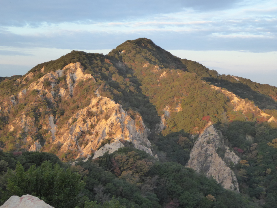 P1000064_mid.jpg