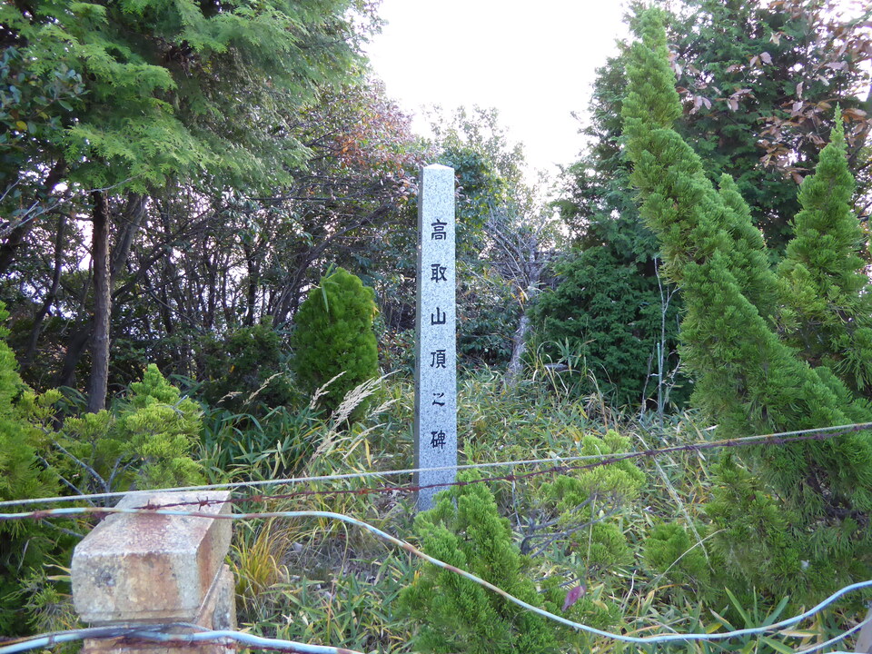 P1000078_mid.jpg