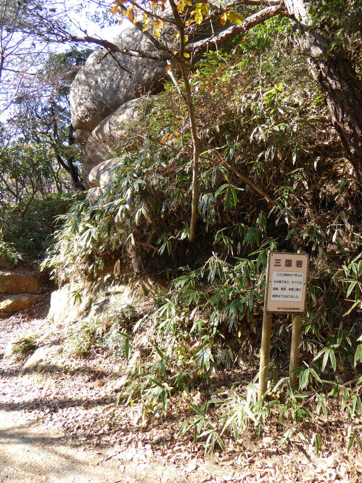 P1000132_mid.jpg