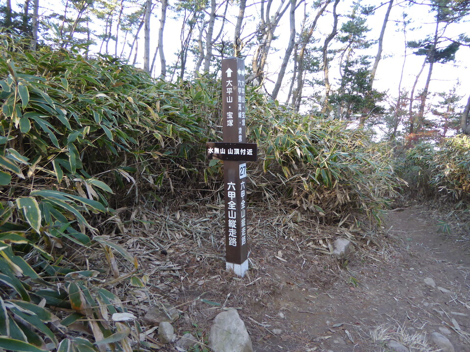 P1000175_mid.jpg