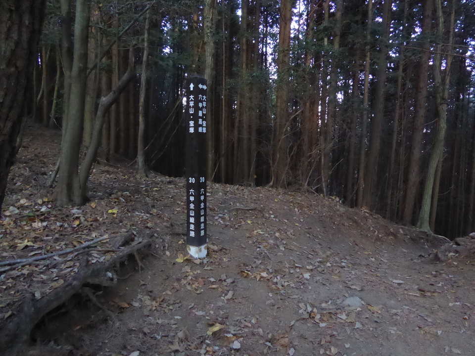 P1000197_mid.jpg