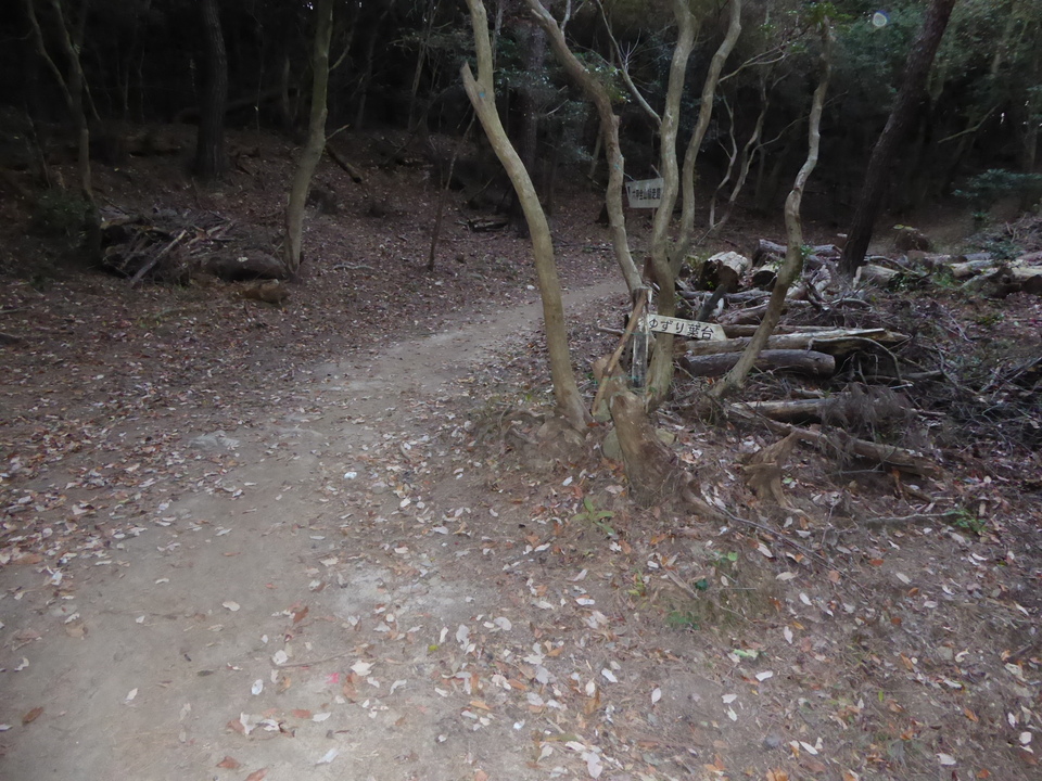 P1000231_mid.jpg