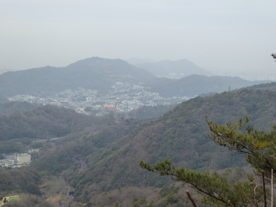 P1000570_mid.jpg