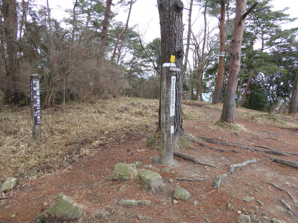 P1000574_mid.jpg