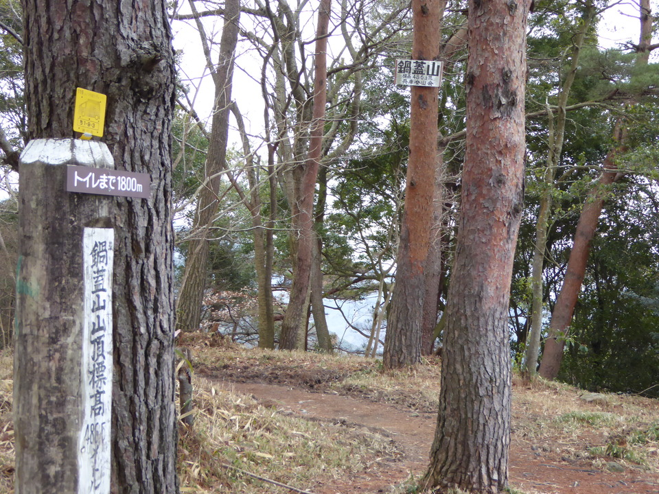 P1000575_mid.jpg