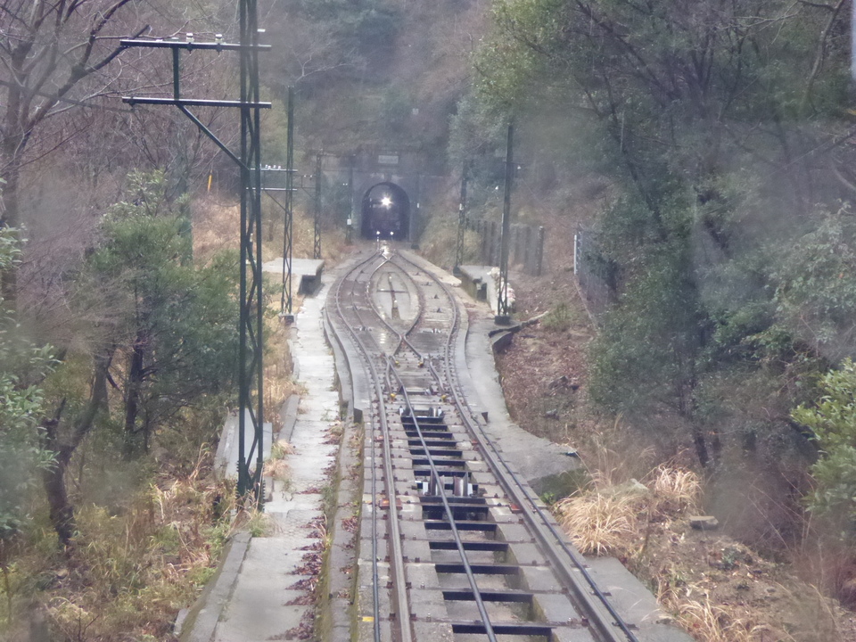 P1000592_mid.jpg